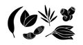 Black Silhouette Various Botanical Leaves and Pods Vector Illustration Natural Elements Royalty Free Stock Photo