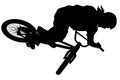 BMX bike rider doing stunts vector graphic