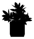 Black silhouette vector illustration Potted plant, house plant