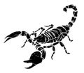 Black silhouette vector Scorpion tattoo - ornate exquisite scorpion image, sign horoscope