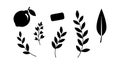 Black silhouette vector set of various leaves with fruit and bar shape simple nature elements Royalty Free Stock Photo
