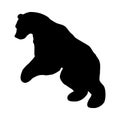 Vector illustration of a bear. Black silhouette on a white background. Royalty Free Stock Photo