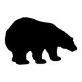 Vector illustration of a bear. Black silhouette on a white background. Royalty Free Stock Photo