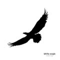 Black silhouette of white eagle. Isolated drawing of american symbol. Tattoo or print image