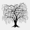 Black silhouette willow tree with leaves