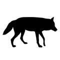 Black silhouette of wolf on white background of illustrat