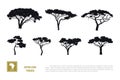 Black silhouettes of african trees on white background. Isolated image of savannah nature. Forest landscape of Africa