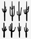 Black silhouettes of cactus