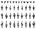 Black silhouettes of cactus