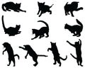 Black silhouettes cats