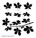 Black silhouettes of CHESTNUT tree leaves isolated on white. Autumn fallen leaves of CHESTNUT tree. Vector Royalty Free Stock Photo