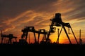 Silhouettes of cranes at sunset Royalty Free Stock Photo