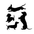 Black silhouettes of dachshunds dogs on a white background. Royalty Free Stock Photo