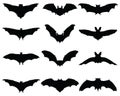 Silhouettes of different bats