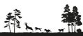 Black silhouettes of forest animals. Flock of wolves hunts a deer. Isolated landscape. Wildlife scene Royalty Free Stock Photo