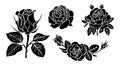 Black silhouettes of fresh blossoming rose vector.