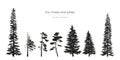 Black silhouettes of fur-trees and pines. Forest landscape. Isolated drawing of simple objects