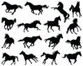 Black silhouettes horses Royalty Free Stock Photo