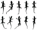 Black silhouettes of lizards