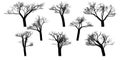 Black silhouettes of naked vector trees. Set isolated on a white background Royalty Free Stock Photo