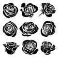 Black silhouettes rose flowers inflorescence with white lines collectoin Royalty Free Stock Photo