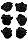 Black silhouettes rose flowers inflorescence with white lines isolated on white background.