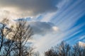 The black silhouettes of trees without foliage on the background of the bright cumulus clouds and the white sun rays in the blue Royalty Free Stock Photo