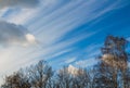 The black silhouettes of trees without foliage on the background of the bright cumulus clouds and the white sun rays in the blue Royalty Free Stock Photo