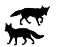 The black silhouettes of two foxes