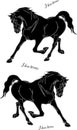 black silhouettes of two running horses Royalty Free Stock Photo