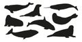 Black Silhouettes Of Whale, Walrus, Orca And White Whale With Narwhal And Seal, Beluga, Arctic Sea Animals. Marine Life