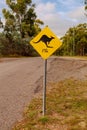 Kangaroo next 4km - full image