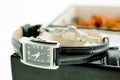Black with silver female watch in a jewelery case Royalty Free Stock Photo