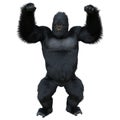 Black silver gorilla 3d illustration isolated on white Royalty Free Stock Photo