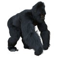 Black silver gorilla 3d illustration isolated on white Royalty Free Stock Photo