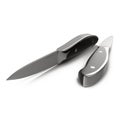 Black and silver paring knife on white 3D Illustration