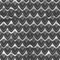 Black silver scales Royalty Free Stock Photo