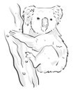 A black sketch of a koala climbing on the tree vector or color illustration