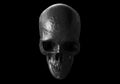 Black Skull Isolated