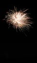 Fireworks display overhead in the black night sky