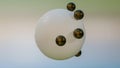 black small balls on the surface of a white large sphere. abstract three-dimensional composition. 3d render