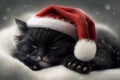 Black small kitten sleeping in red santa hat Royalty Free Stock Photo