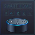 Black Smart home Speaker mini