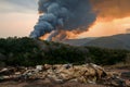 Black smoke billows as forest fire consumes woods and garbage Royalty Free Stock Photo