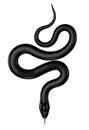 Black Snake Royalty Free Stock Photo