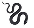 Black Snake Royalty Free Stock Photo