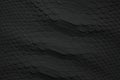 Black snake skin texture, reptile leather as background Royalty Free Stock Photo