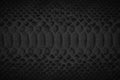 Black snake skin texture, reptile leather as background Royalty Free Stock Photo