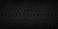 Black snake skin background, natural reptile leather texture Royalty Free Stock Photo