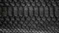 Black snake skin pattern texture. Black reptile. Python leather background. Royalty Free Stock Photo